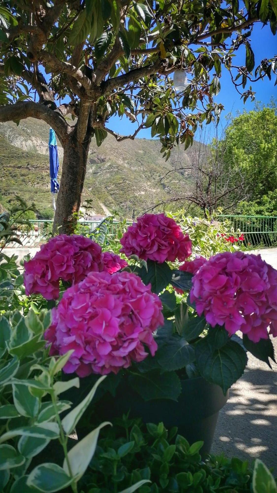 Apartmán La Casa De La Abuela Pinos Genil Exteriér fotografie