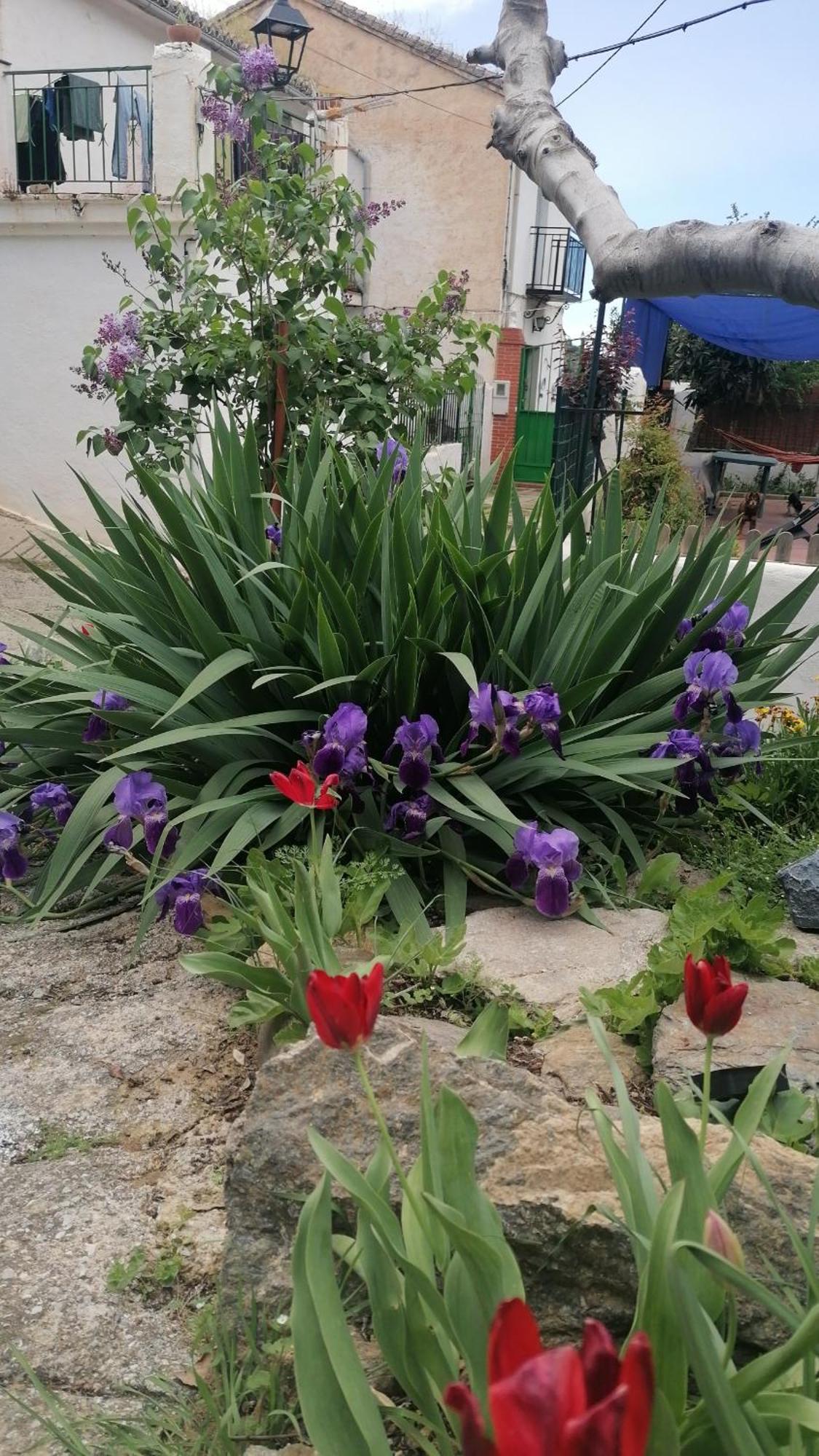 Apartmán La Casa De La Abuela Pinos Genil Exteriér fotografie