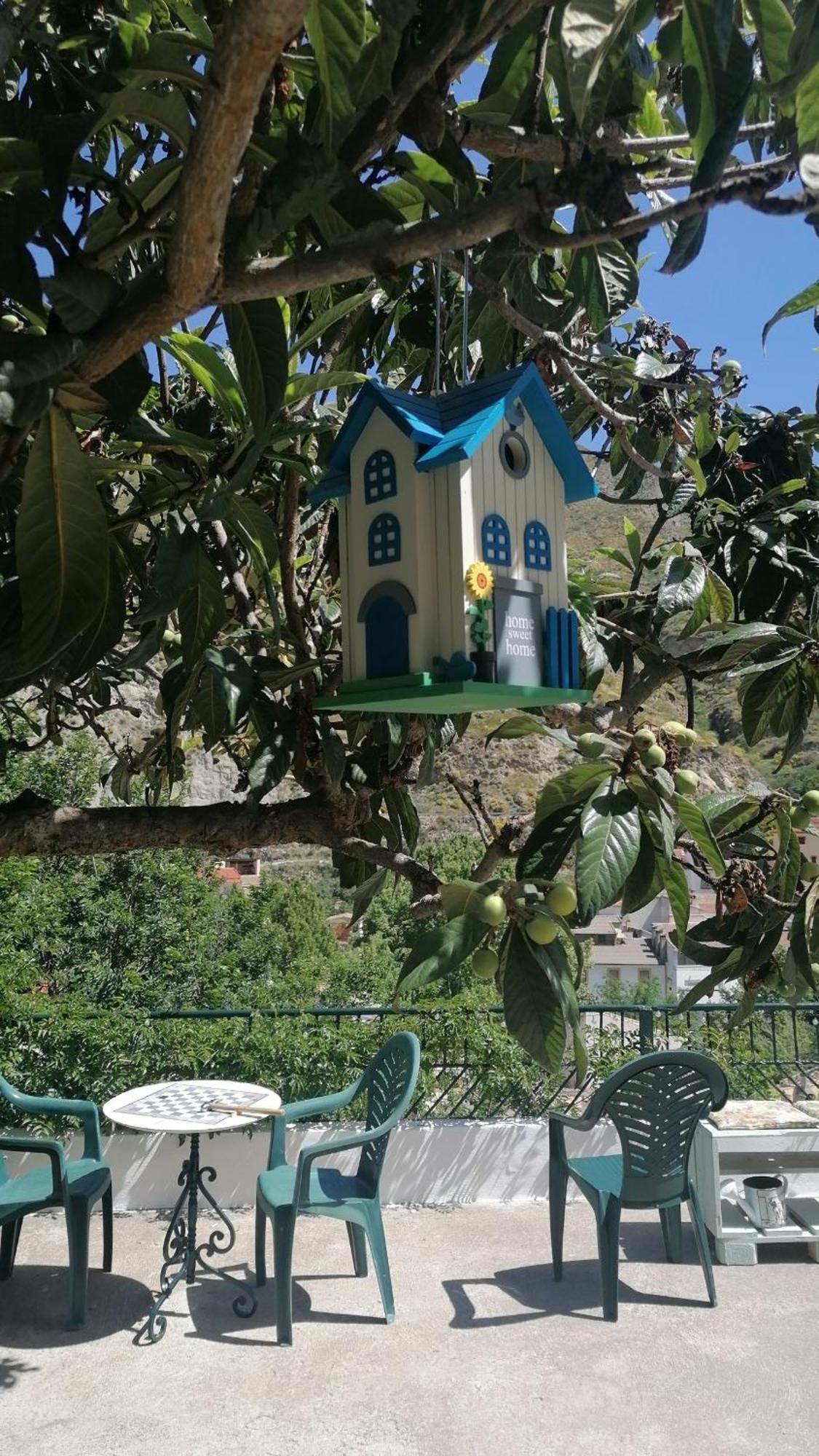 Apartmán La Casa De La Abuela Pinos Genil Exteriér fotografie
